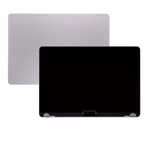 LCD ekraan ühilduv (täiskere) Macbook Air M3 13 A3113 / hall