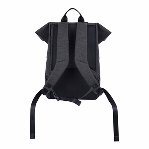 EcoFlow RIVER 2 bag