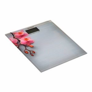 Esperanza EBS010 personal scale Electronic personal scale