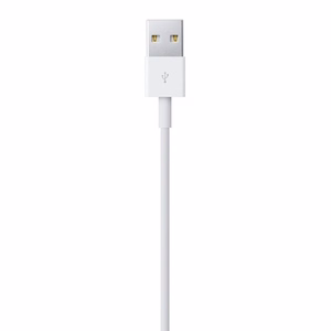 Apple Lightning - USB 2 m Balta
