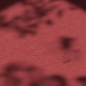 Etteri Silikoonist Mag ümbris iPhone 16 Plus 6,7" vaarikas