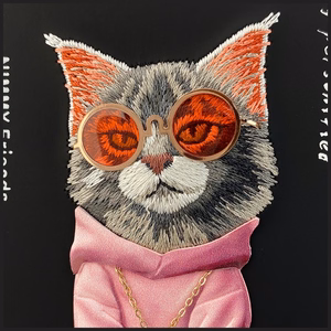 Nimmy Glasses Cool Cat ümbris jaoks iPhone 17 - must