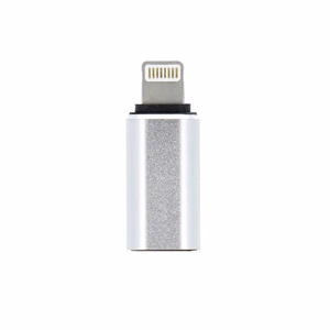 Adapter Type C (female) to Lightning (male) hõbedane