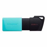 Kingston pendrive DataTraveler Exodia M DTXM 256GB roheline