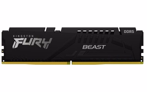 KINGSTON 64GB 5600MT/s DDR5 CL36 must
