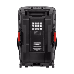 60 W aktiivkõlar 2 juhtmevaba UHF-mikrofoni, SD, Bluetoothi, FM-i, USB ja LED-iga