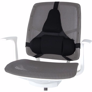 Fellowes seljatugi Ultimate toolile