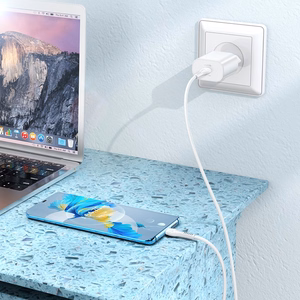 Laadija Hoco N22 25W USB-C + USB-C to USB-C kaabel 1.0m valge