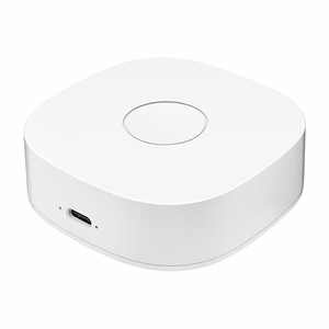 Умный дом WS2GW-R WiFi