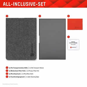 DISPLEX Privacy Safe Uni (Frameless) 16", 16:10