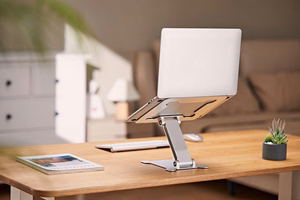 Gembird NBS-D1-03 laptop stand hõbedane 39.6 cm (15.6")