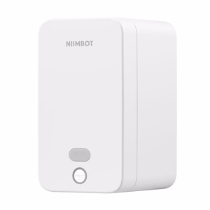 Портативный принтер этикеток Niimbot K2 (белый)