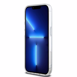 DKNY IML Mono & Stripe MagSafe ümbris jaoks iPhone 15 Pro - sinine
