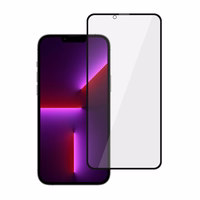 Tempered glass Tel Protect 10X Privacy Titanium jaoks Iphone 13 Pro Max (envelope)