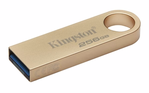 Kingston Technology DataTraveler 256GB 220MB/s metall-USB 3.2 Gen 1 SE9 G3