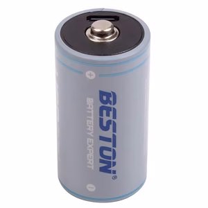 Rechargeable C Size Aku koos USB-C Port, 1.5V, 2300mAh, Li-Ion