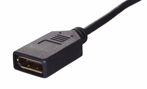 Lanberg AD-0003-BK DisplayPort kaabel 0,12 m Mini DisplayPort must