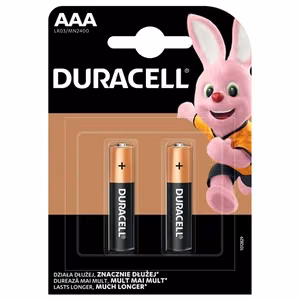 Duracell Basic MN2400 – leelis AAA patareid, 2 tk