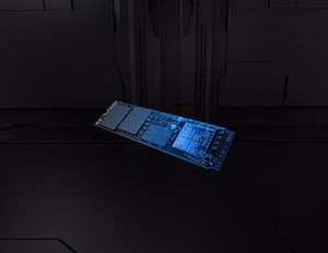 Kingston Technology 4T FURY RENEGADE G5 M.2 2280 NVMe SSD