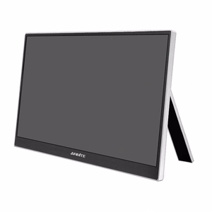 ANMITE A156W04T 15,6" kaasaskantav monitor