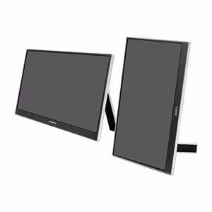 ANMITE A156W04T 15,6" kaasaskantav monitor