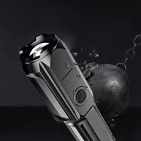 LED Zoom Flashlight B25