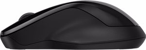 HP 250 Dual hiir