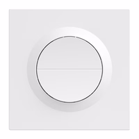 SONOFF MINI-2GS-E Matter kahekanaliline seinelüliti