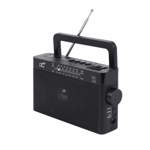 LTC portable radio SONA, Bluetooth, USB, TF, must