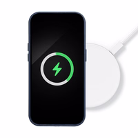 LEATHER MAG COVER ümbris jaoks SAMSUNG S25 PLUS indigo sinine