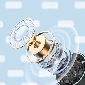 Joyroom JR-EC06 USB-C In-Ear Headphones - hall