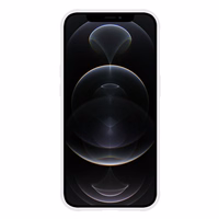 Tel Protect Magical Magsafe Alus Ümbris jaoks Iphone 11 Pro Max hõbedane