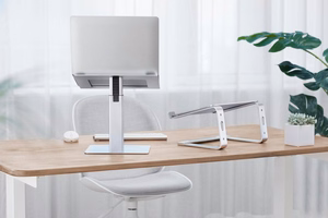 Gembird NBS-D1-02 sülearvuti alus hõbedane 39.6 cm (15.6")
