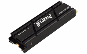 Kingston Technology 4000G RENEGADE PCIe 4.0 NVMe SSD jahutusradiaatoriga