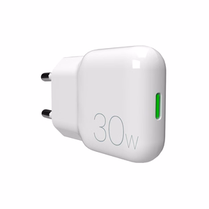 GaN Puro SLIMPRO 30W USB-C Wall Laadija - valge