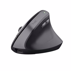Trust TM-270 juhtmevaba hiir kontori parema käe RF optiline 2400 DPI