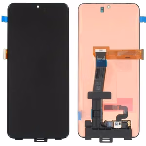 LCD ekraan Samsung G988 S20 Ultra puuteekraaniga (ILMA RAAMITA) originaal (service pack)