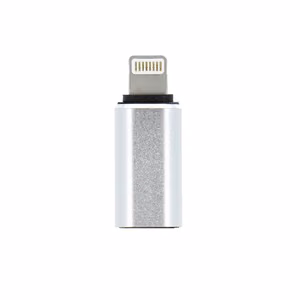 Adapter Type C (female) to Lightning (male) hõbedane