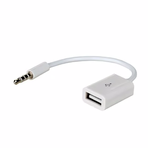Akyga adapter kaabliga AK-AD-24 USB A (f) / mini Jack (m) 15cm