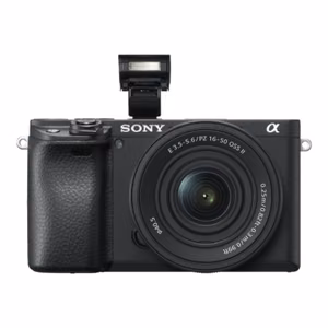Sony (Sony ILCE-6400 Mirrorless Camera + 16-50mm Lens)