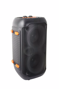 Esperanza EP156 BT FM LED RGB KARAOKE kõlar must 20W
