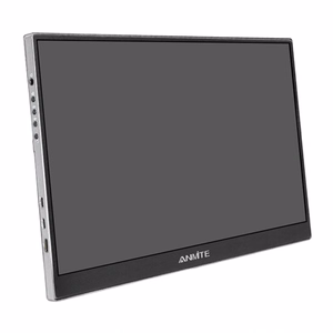 ANMITE A156W04T 15,6" kaasaskantav monitor