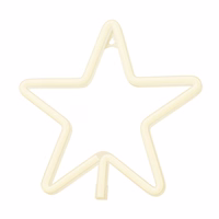 Neon LED jõulutäht soe valge FLNE22 Forever Light