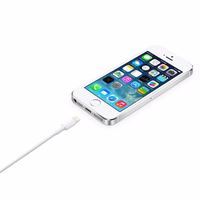 Apple Lightning - USB 2 m Balta