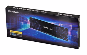Biostar DDR4 Storming V mälumoodul 8 GB 1 x 8 GB 3200 MHz (DX32NU4H08)