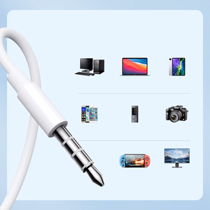 Joyroom JR-EW01 in-ear wired mini jack kõrvaklapid with remote control - valge