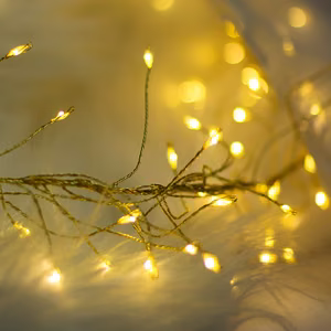 String Light GOLDEN TWIG CLF-03z 480LED cold valge 3m + 5m Forever Light