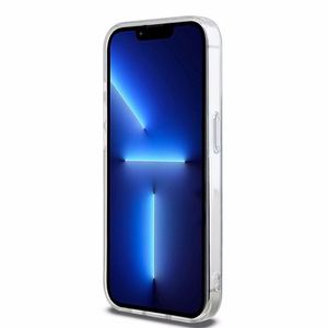 DKNY IML Mono & Stripe MagSafe ümbris jaoks iPhone 14 Pro - must