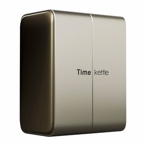 TimeKettle W4 Plus TWS tõlkekõrvaklapid, kuldsed