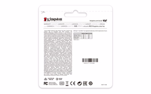Kingston Technology DataTraveler 256GB USB-C 3.2 Gen 1 70